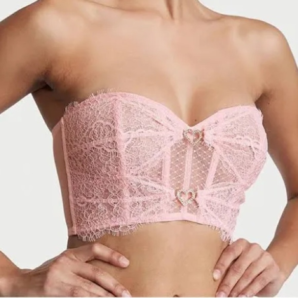 Victoria's Secret Lace Shine Heartware Corset Top Pretty Blossom New With Tags